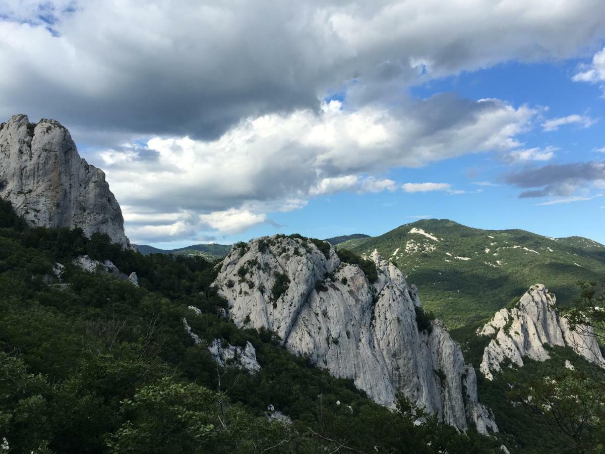 Wil Vannese Stinica Exterior foto